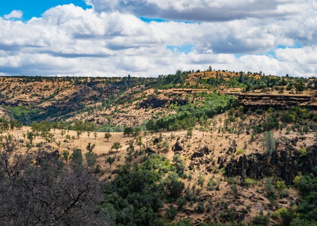 #38. Tehama County, California